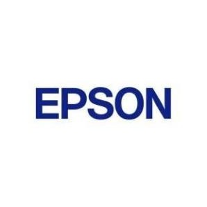 Epson B12B813431